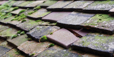 Marple roof repair costs